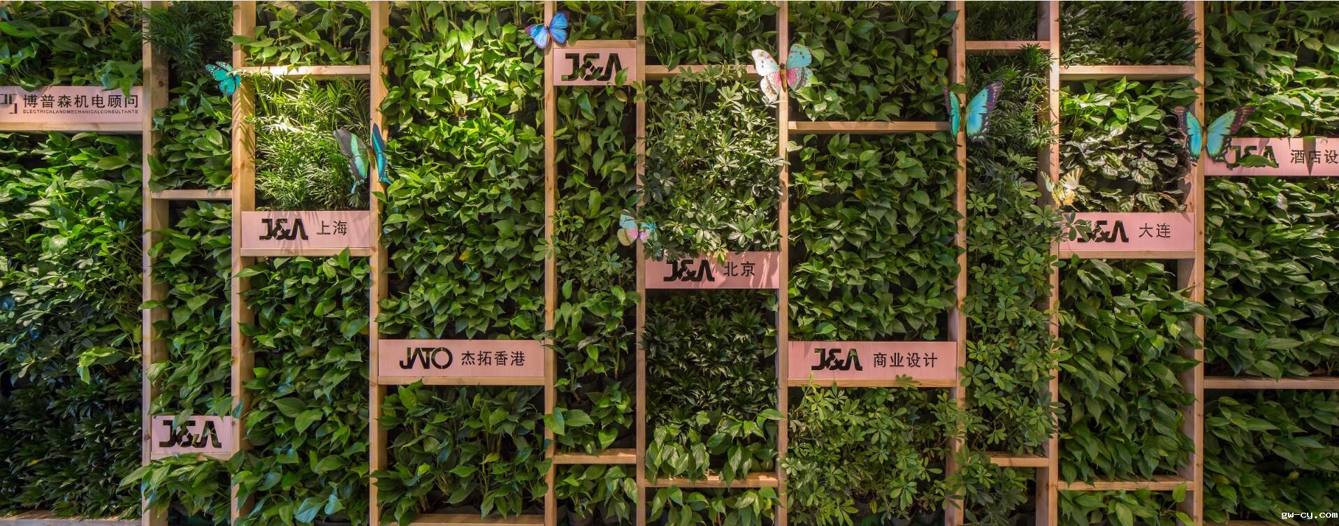 J&Abetway开户网站公司-绿植墙.jpg
